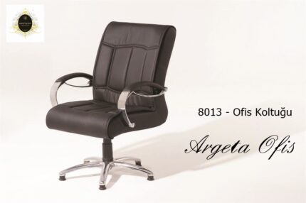 ofis dekoruna uyum sağlıyor.